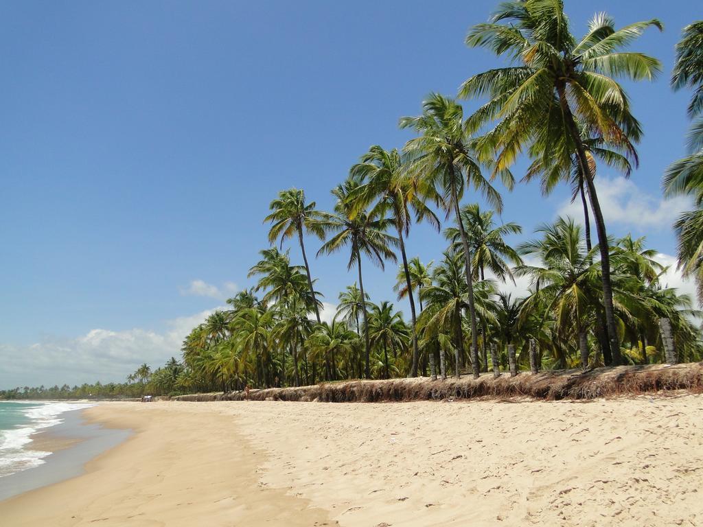 Pousada Palanca Negra Pôrto das Galinhas Exteriér fotografie